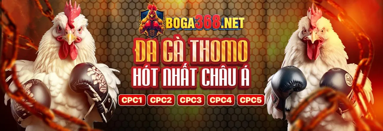 Giao diện cá cược đá gà trực tuyến Jun888